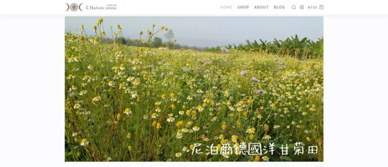 Charoma夏綠蒂芳療 購物網站